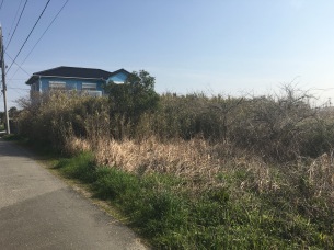 千葉草刈り作業　空き地の画像
